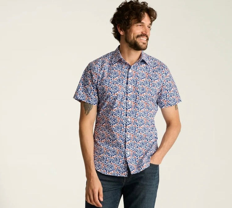 Bonobos