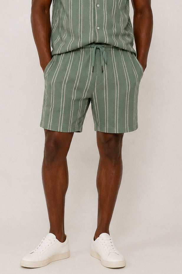 Wholesale,SUNSET X VINE, SUNSET X VINE Sage Stripe Knit Textured 6