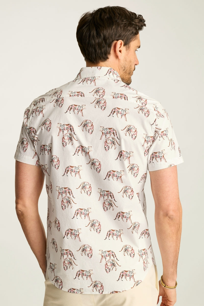 Wholesale,Bonobos, Bonobos White Cheetah Print Stretch Shirt, White, Large-46-TagL