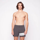 Public Beach Grey Stripe Short 6" with Compression Liner